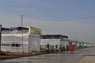 農村這四類建筑會被清理，涉及范圍廣，快看是否影響你家